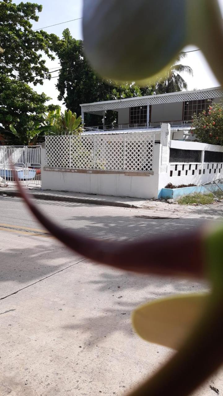 Joebi'S House Walking Distance To Rocky Cay Beach Ideal For Families Or Groups Buenavista  Buitenkant foto